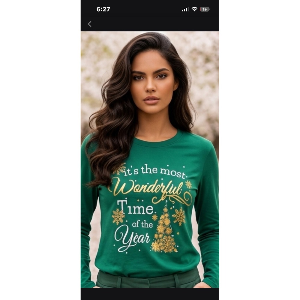 NWT Ashley Blue Christmas Graphic Tee Green Long Sleeve Holiday Shirt XL